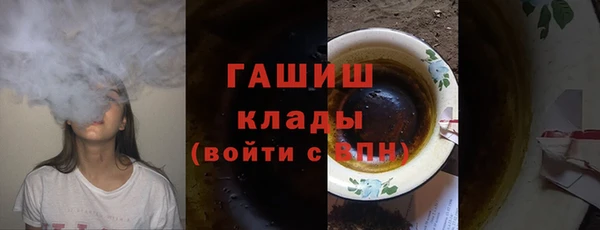 шишки Белокуриха